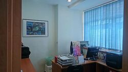 Vertex (D14), Factory #496388221